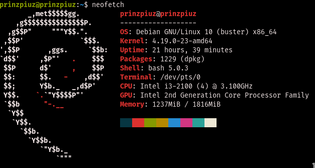 Neofetch output of my server